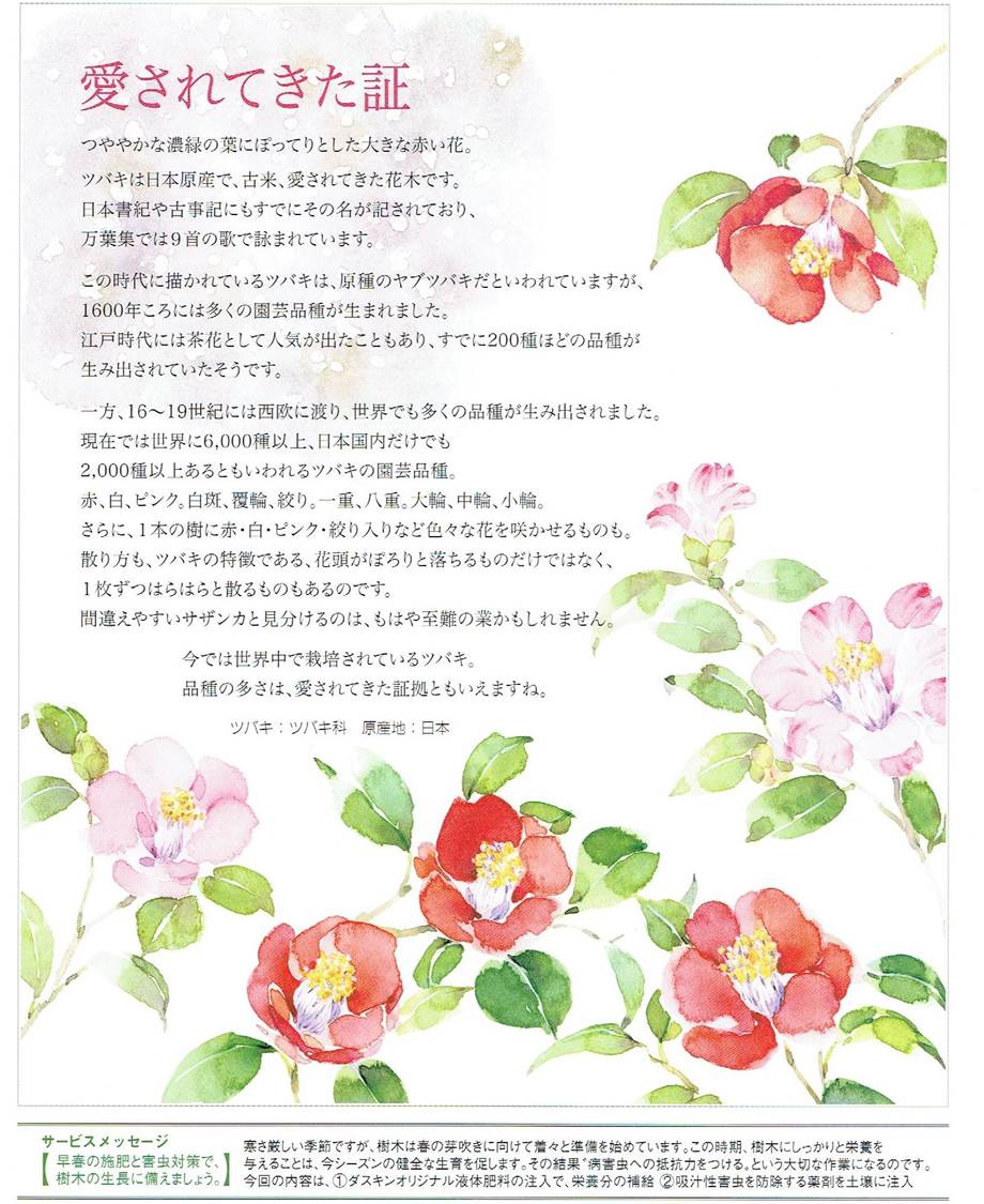 TGメッセージ　112　.jpgのサムネール画像